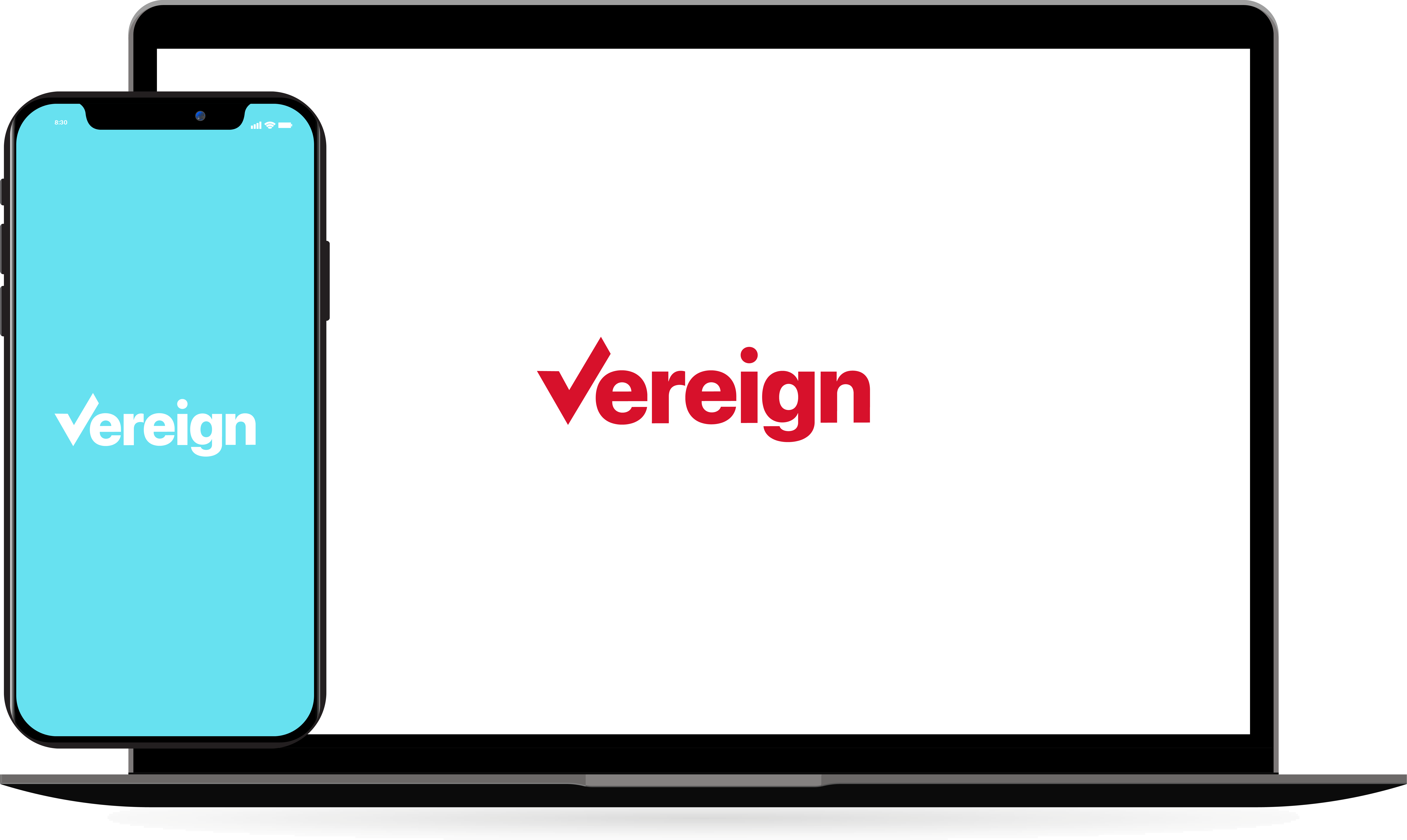 phone and laptop icon